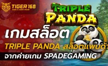 เกมสล็อต Triple Panda สล็อตแพนด้า จากค่ายเกม Spadegaming